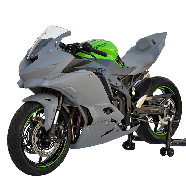 Ninja ZX-4RR 2023-24 Race Bodywork – Color Form Green 